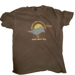 Birds arent real tee